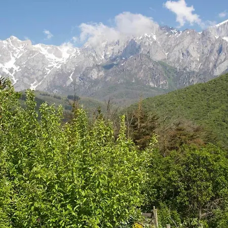 Camino Santo Toribio *